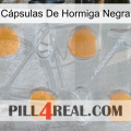 Cápsulas De Hormiga Negra 24